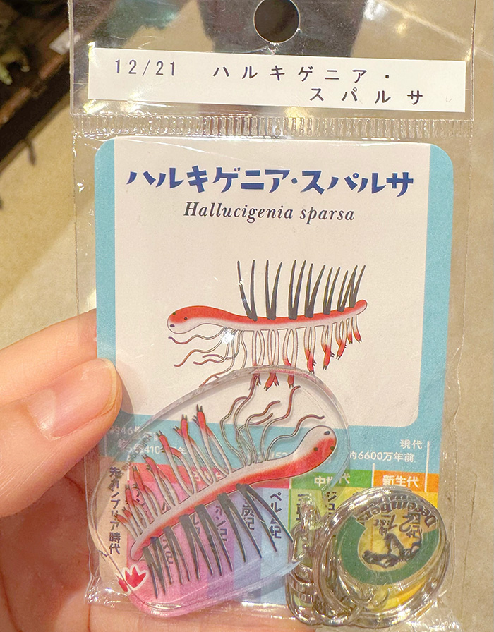 少女と古生物のこと 1